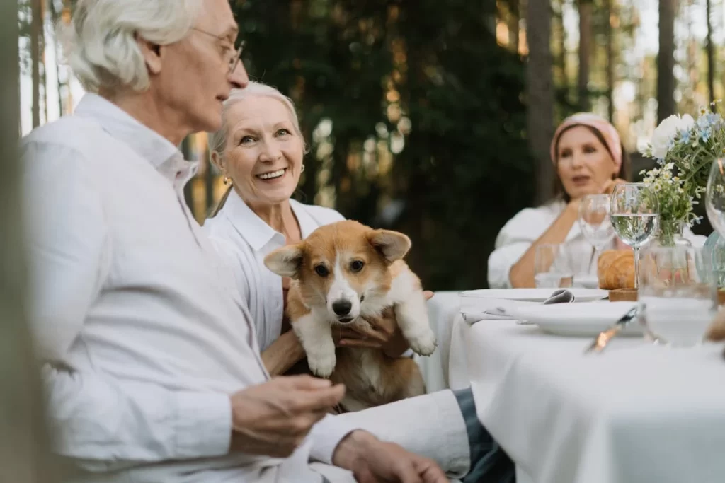 Pet Therapy for the Elderly